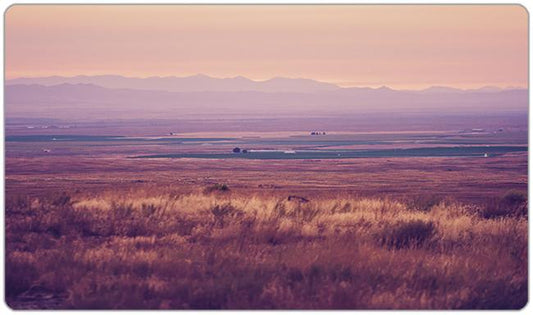Sunset in the Desert Playmat - Premium Playmat from Inked Gaming - Just $34.99! Shop now at Game Crave Tournament Store
