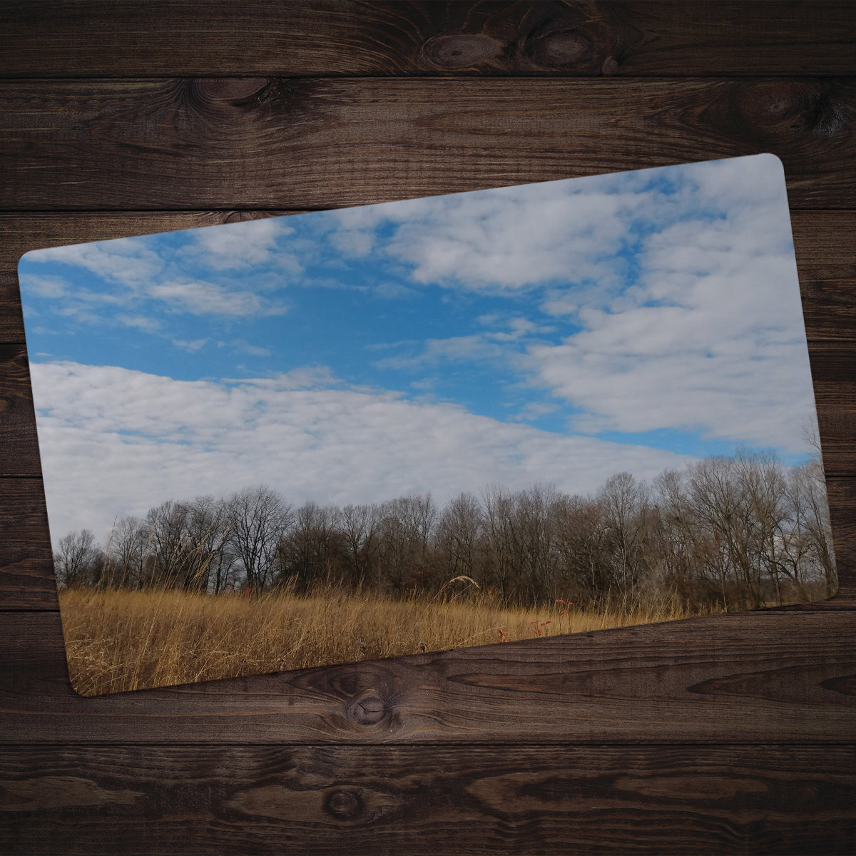 Sky Plains Playmat - Premium Playmat from Inked Gaming - Just $34.99! Shop now at Game Crave Tournament Store