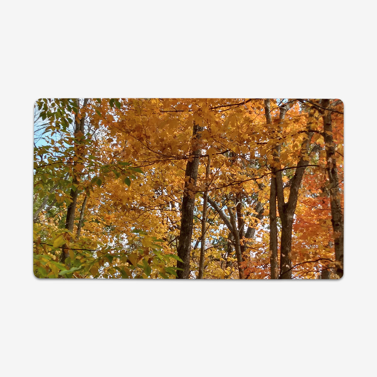 Spectrum of Seasons Playmat - Premium Playmat from Inked Gaming - Just $34.99! Shop now at Game Crave Tournament Store