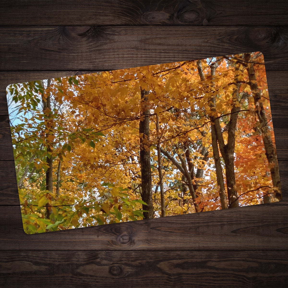Spectrum of Seasons Playmat - Premium Playmat from Inked Gaming - Just $34.99! Shop now at Game Crave Tournament Store