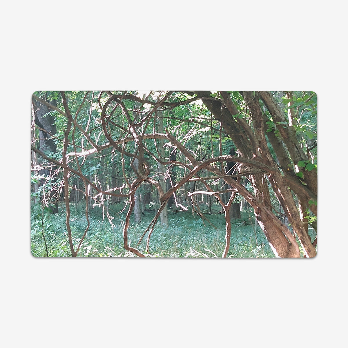 Sunlit Thorns Playmat - Premium Playmat from Inked Gaming - Just $34.99! Shop now at Game Crave Tournament Store