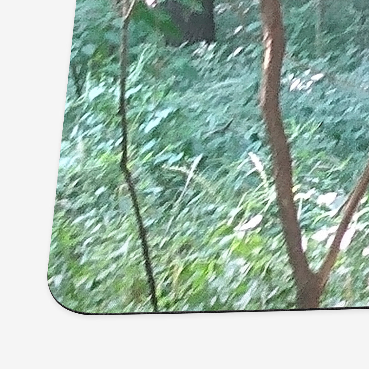 Sunlit Thorns Playmat - Premium Playmat from Inked Gaming - Just $34.99! Shop now at Game Crave Tournament Store