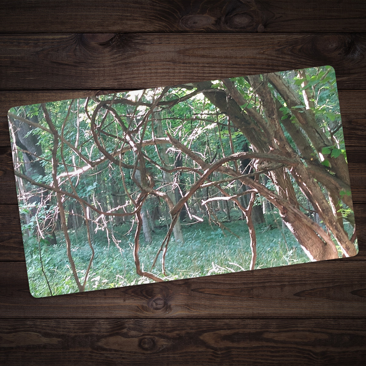 Sunlit Thorns Playmat - Premium Playmat from Inked Gaming - Just $34.99! Shop now at Game Crave Tournament Store