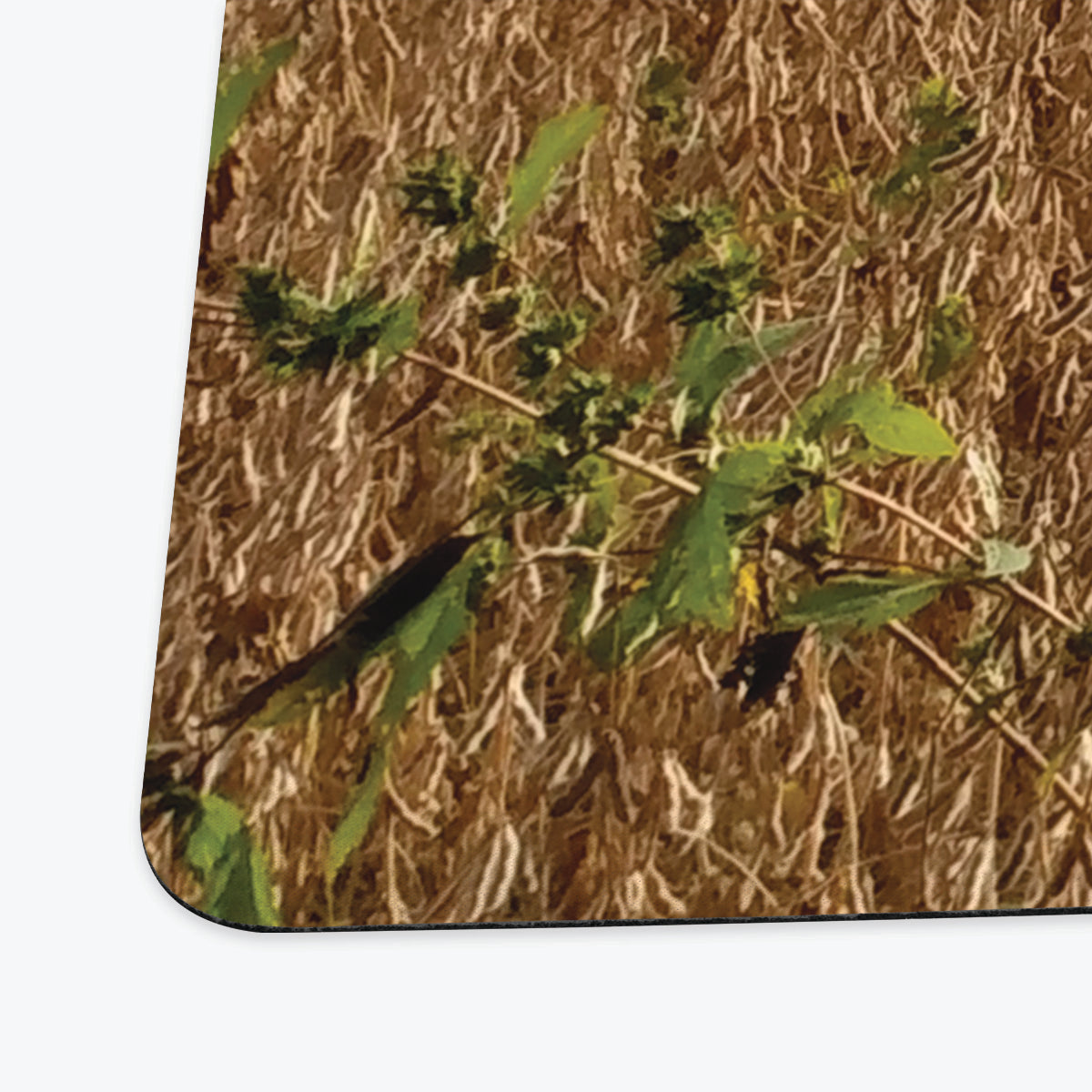 Vast Yellow Plains Playmat - Premium Playmat from Inked Gaming - Just $34.99! Shop now at Game Crave Tournament Store