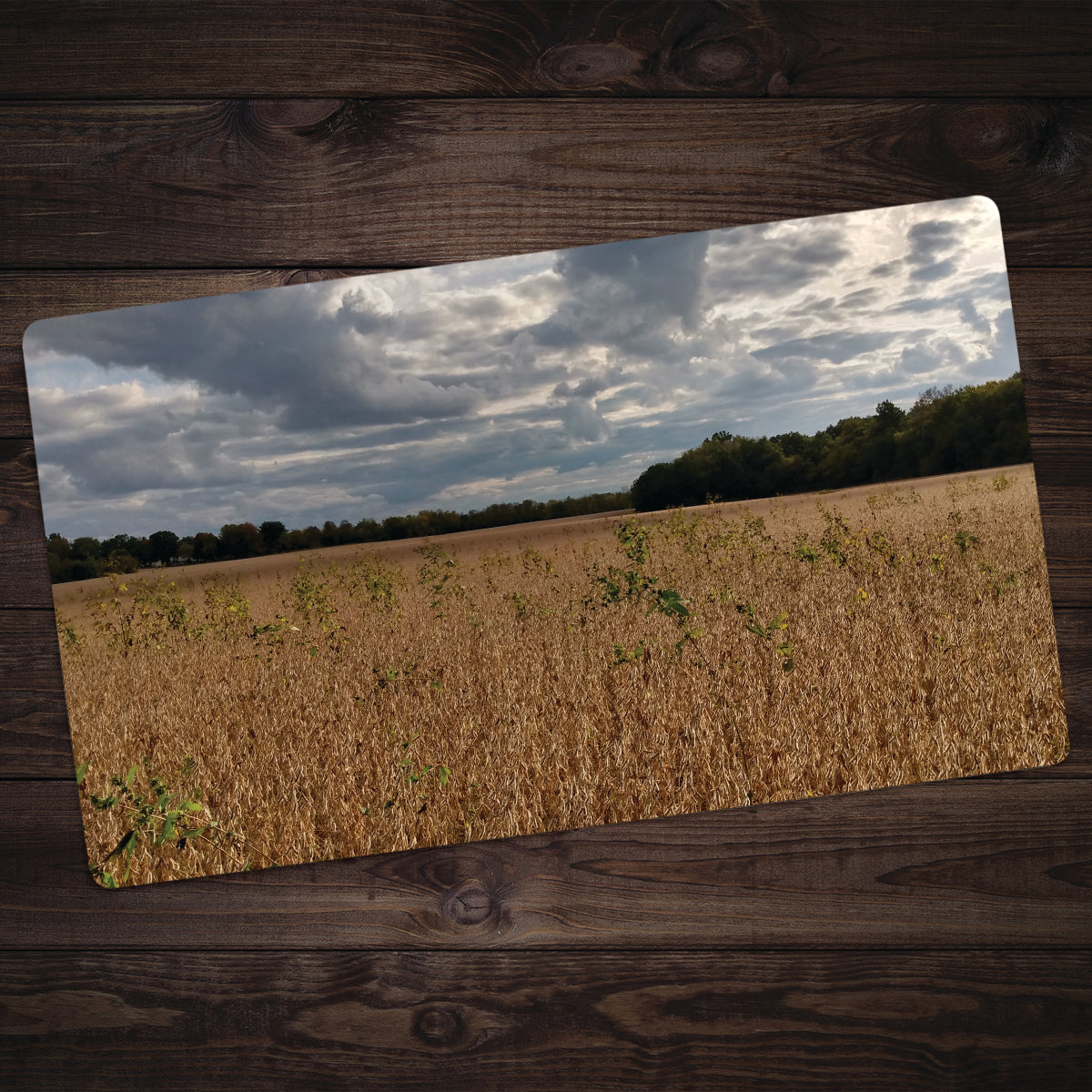 Vast Yellow Plains Playmat - Premium Playmat from Inked Gaming - Just $34.99! Shop now at Game Crave Tournament Store