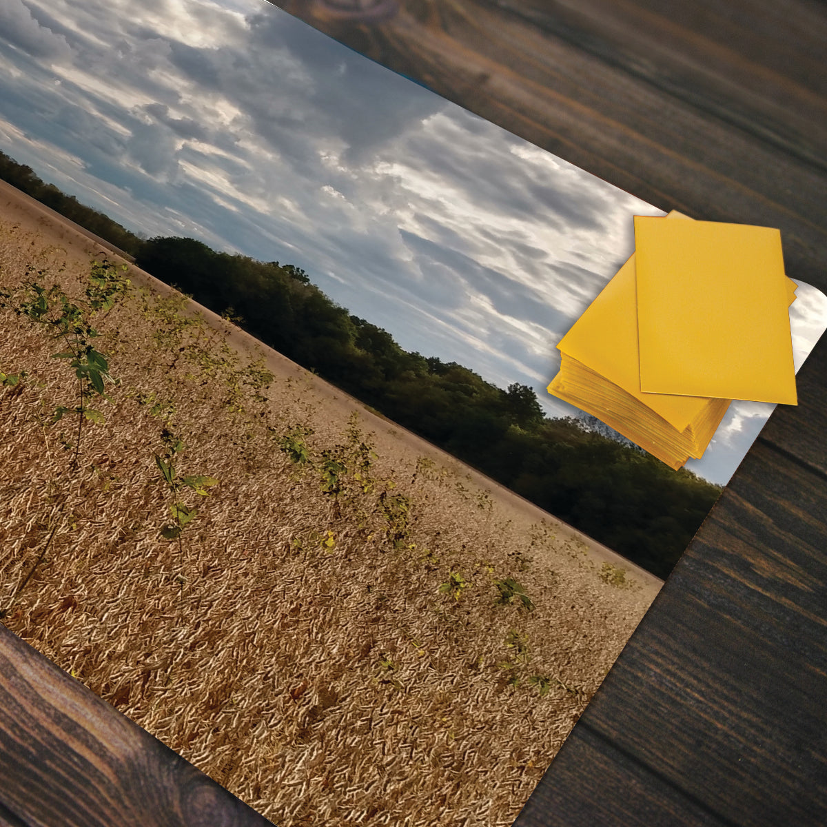Vast Yellow Plains Playmat - Premium Playmat from Inked Gaming - Just $34.99! Shop now at Game Crave Tournament Store