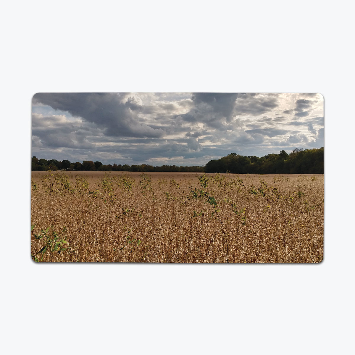 Vast Yellow Plains Playmat - Premium Playmat from Inked Gaming - Just $34.99! Shop now at Game Crave Tournament Store