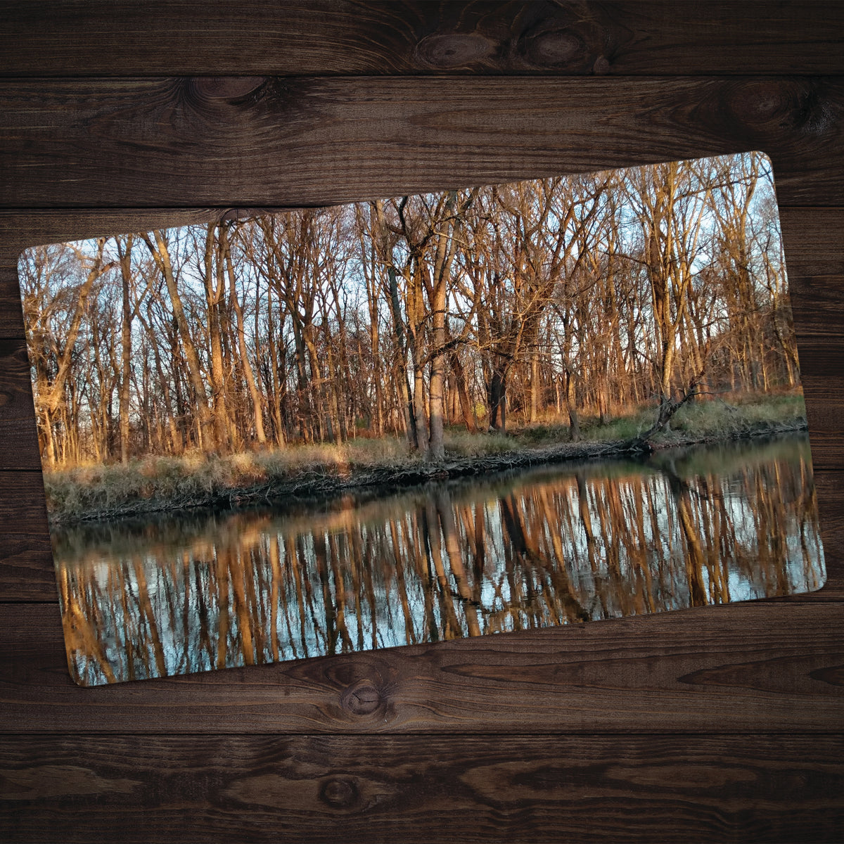 Winter Reflections Playmat - Premium Playmat from Inked Gaming - Just $34.99! Shop now at Game Crave Tournament Store