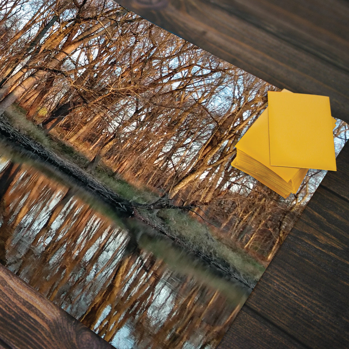 Winter Reflections Playmat - Premium Playmat from Inked Gaming - Just $34.99! Shop now at Game Crave Tournament Store