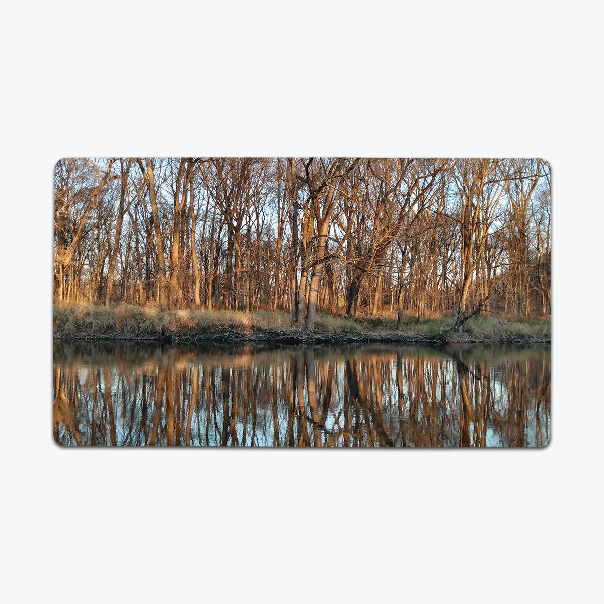 Winter Reflections Playmat - Premium Playmat from Inked Gaming - Just $34.99! Shop now at Game Crave Tournament Store