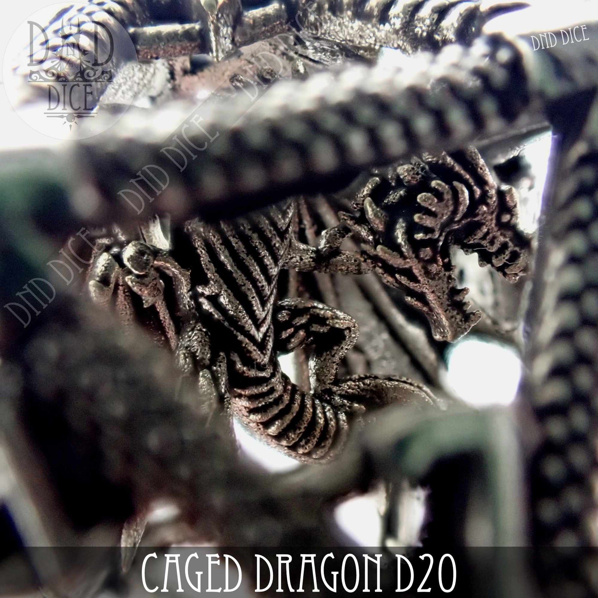 Caged Dragon D20 (6 Colors) - Premium Dice Sets & Games from DND DICE - Just $20! Shop now at Game Crave Tournament Store