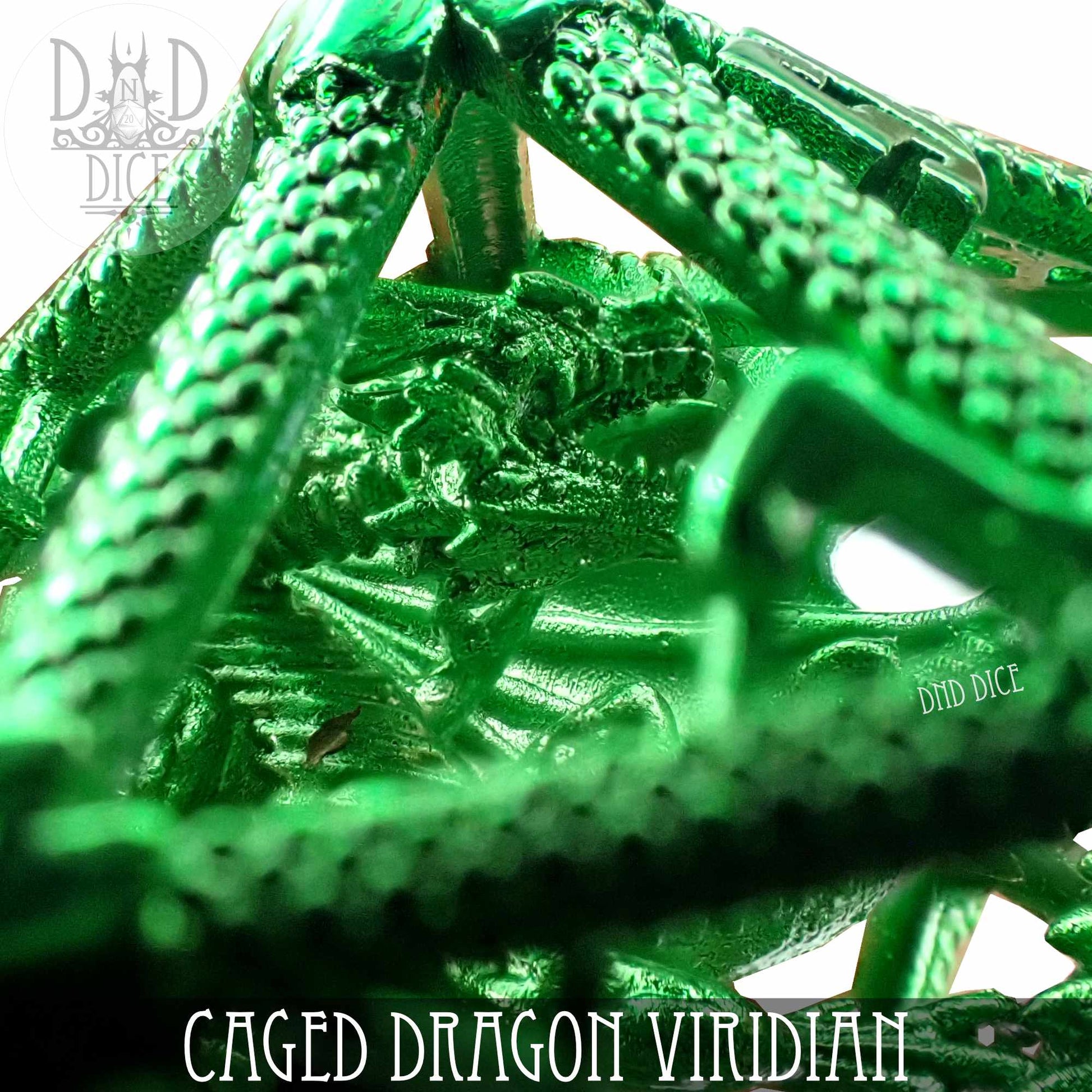 Caged Dragon D20 (6 Colors) - Premium Dice Sets & Games from DND DICE - Just $20! Shop now at Game Crave Tournament Store