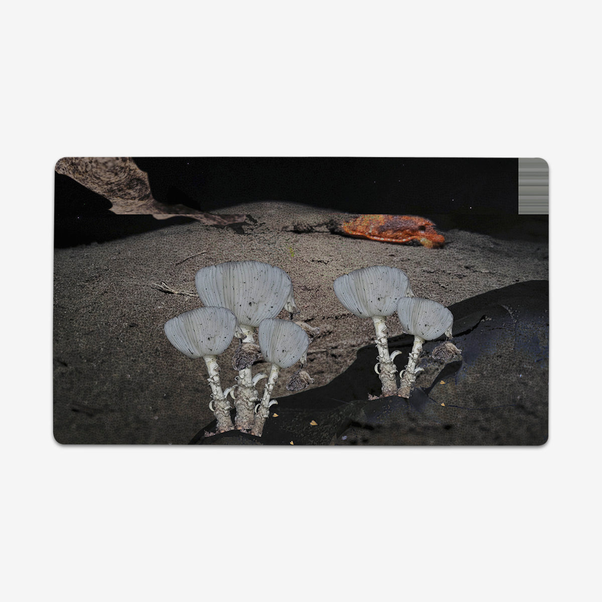 Space Slug Playmat - Premium Playmat from Inked Gaming - Just $34.99! Shop now at Game Crave Tournament Store