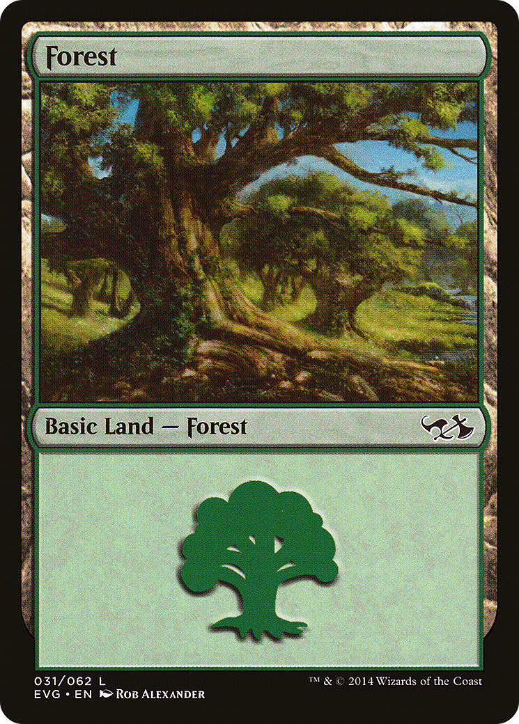 Forest (EVG-031) - Duel Decks Anthology: Elves vs. Goblins