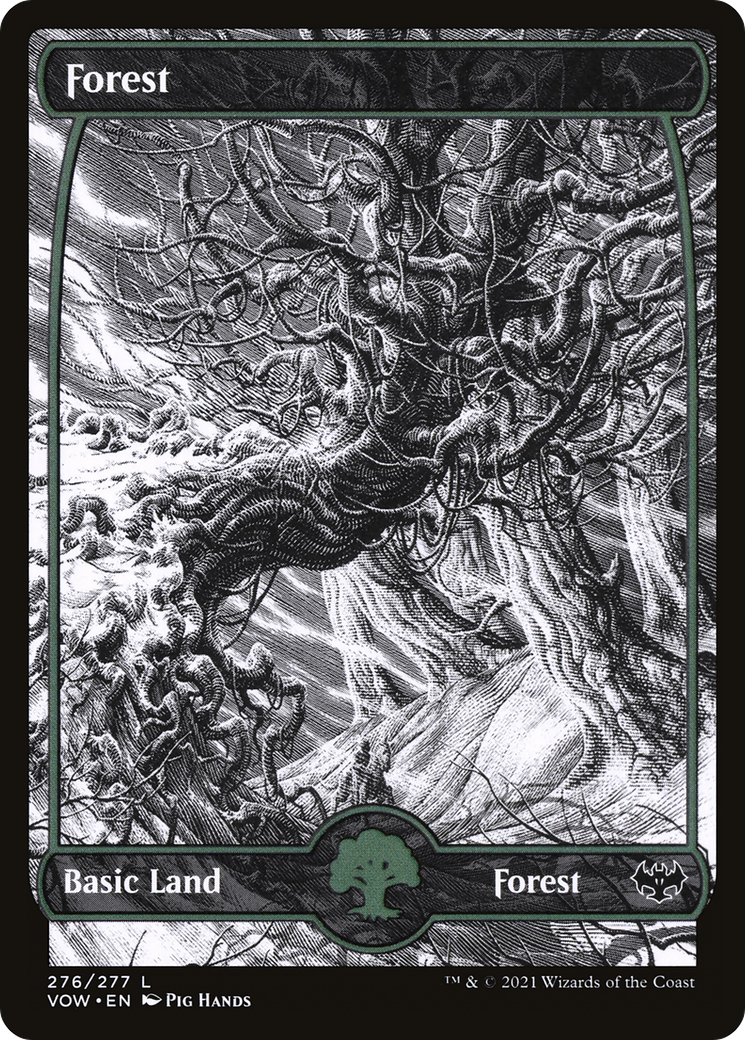 Forest (VOW-276) - Innistrad: Crimson Vow: (Showcase) Foil - Premium MTG Single from Wizards of the Coast - Just $0.13! Shop now at Game Crave Tournament Store