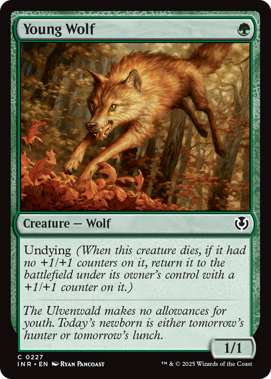 Young Wolf (-227) - Innistrad Remastered - Premium MTG Single from Wizards of the Coast - Just $0.25! Shop now at Game Crave Tournament Store
