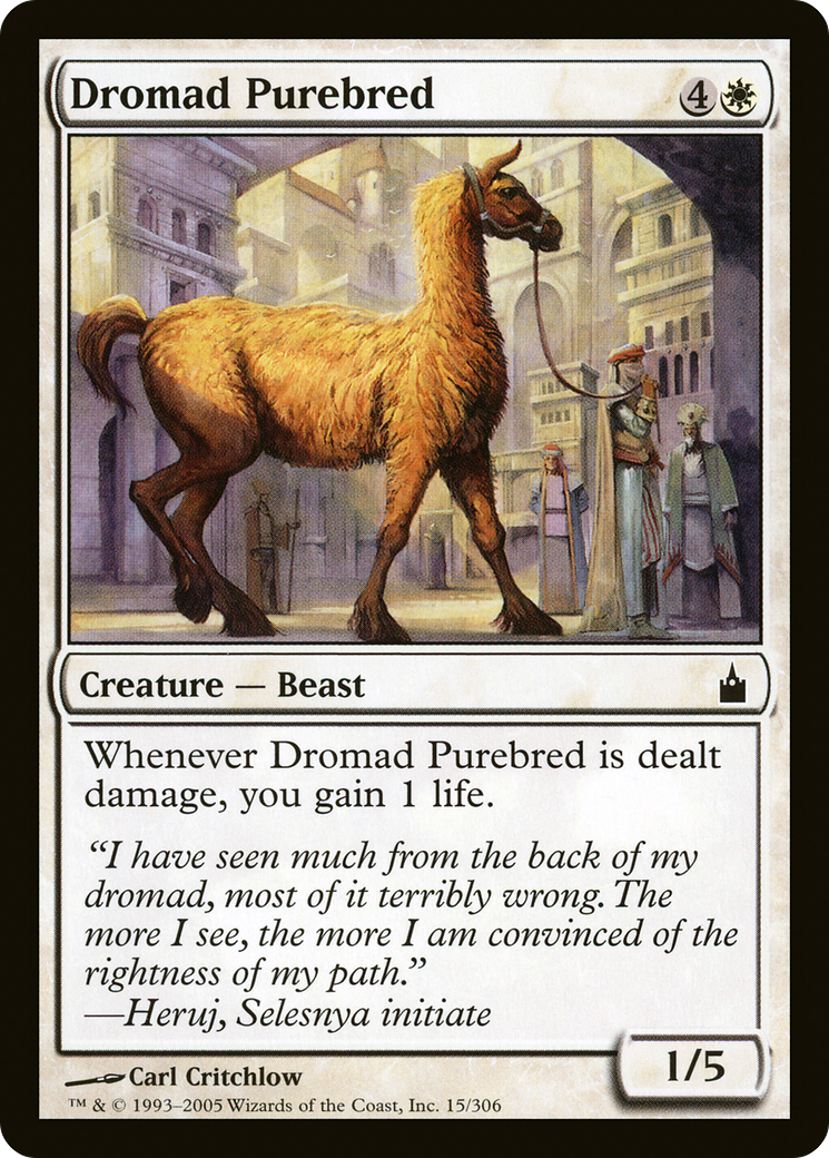 Dromad Purebred (RAV-015) - Ravnica: City of Guilds - Premium MTG Single from Wizards of the Coast - Just $0.08! Shop now at Game Crave Tournament Store