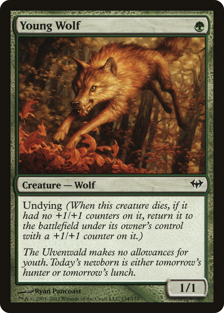 Young Wolf (DKA-134) - Dark Ascension - Premium MTG Single from Wizards of the Coast - Just $0.26! Shop now at Game Crave Tournament Store