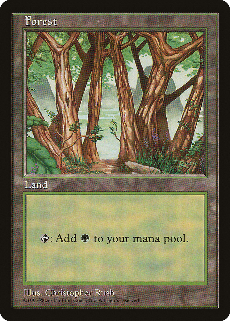 Forest (PALP-006) - Asia Pacific Land Program - Premium MTG Single from Wizards of the Coast - Just $2.72! Shop now at Game Crave Tournament Store