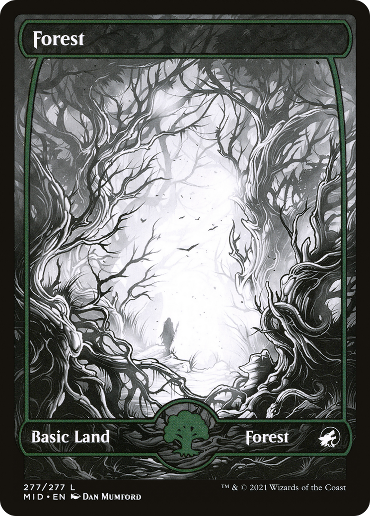 Forest (MID-277) - Innistrad: Midnight Hunt: (Full Art, Showcase) - Premium MTG Single from Wizards of the Coast - Just $0.13! Shop now at Game Crave Tournament Store