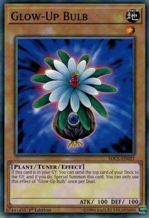 Glow-Up Bulb (SDCL-EN021) - Structure Deck: Cyberse Link 1st Edition - Premium Yugioh Single from Konami - Just $0.63! Shop now at Game Crave Tournament Store