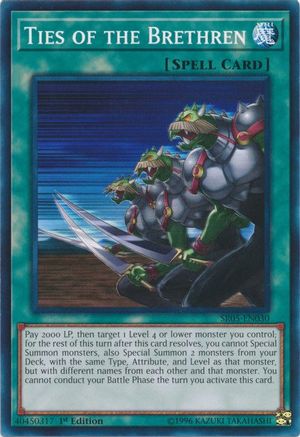 Ties of the Brethren (SR05-EN030) - Structure Deck: Wave of Light 1st Edition - Premium Yugioh Single from Konami - Just $0.08! Shop now at Game Crave Tournament Store