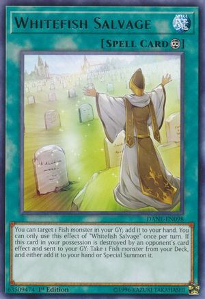 Whitefish Salvage (DANE-EN098) - Dark Neostorm 1st Edition - Premium Yugioh Single from Konami - Just $0.25! Shop now at Game Crave Tournament Store