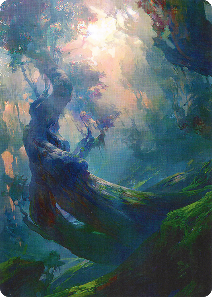 Forest // Forest (AZNR-021) - Zendikar Rising Art Series (Borderless) - Premium MTG Single from Wizards of the Coast - Just $0! Shop now at Game Crave Tournament Store