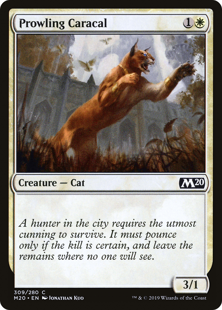 Prowling Caracal (M20-309) - Core Set 2020 - Premium MTG Single from Wizards of the Coast - Just $0.25! Shop now at Game Crave Tournament Store