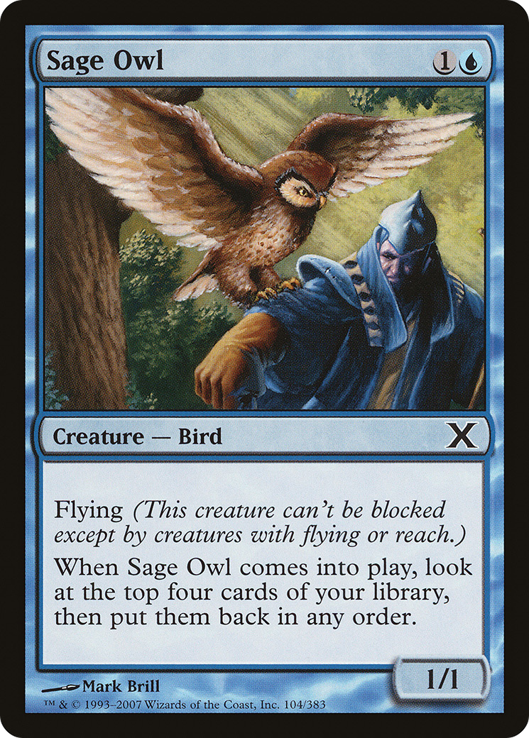 Sage Owl (10E-104) - Tenth Edition - Premium MTG Single from Wizards of the Coast - Just $0.25! Shop now at Game Crave Tournament Store