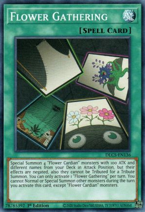 Flower Gathering (DLCS-EN136) - Dragons of Legend: The Complete Series 1st Edition - Premium Yugioh Single from Konami - Just $0.25! Shop now at Game Crave Tournament Store