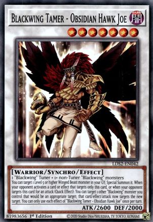 Blackwing Tamer - Obsidian Hawk Joe (LDS2-EN042) - Legendary Duelists: Season 2 1st Edition - Premium Yugioh Single from Konami - Just $0.66! Shop now at Game Crave Tournament Store