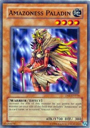 Amazoness Paladin (DR1-EN114) - Dark Revelation Volume 1 Unlimited - Premium Yugioh Single from Konami - Just $0.36! Shop now at Game Crave Tournament Store