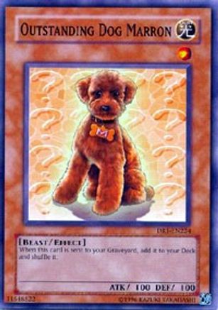 Outstanding Dog Marron (DR1-EN224) - Dark Revelation Volume 1 Unlimited - Premium Yugioh Single from Konami - Just $0.48! Shop now at Game Crave Tournament Store