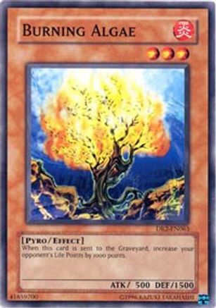Burning Algae (DR2-EN063) - Dark Revelation Volume 2 Unlimited - Premium Yugioh Single from Konami - Just $0.25! Shop now at Game Crave Tournament Store