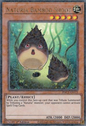 Naturia Bamboo Shoot (Duel Terminal) (HAC1-EN111) - Hidden Arsenal: Chapter 1 1st Edition - Premium Yugioh Single from Konami - Just $0.25! Shop now at Game Crave Tournament Store