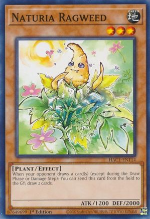 Naturia Ragweed (HAC1-EN114) - Hidden Arsenal: Chapter 1 1st Edition - Premium Yugioh Single from Konami - Just $0.25! Shop now at Game Crave Tournament Store