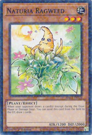 Naturia Ragweed (Duel Terminal) (HAC1-EN114) - Hidden Arsenal: Chapter 1 1st Edition - Premium Yugioh Single from Konami - Just $0.25! Shop now at Game Crave Tournament Store
