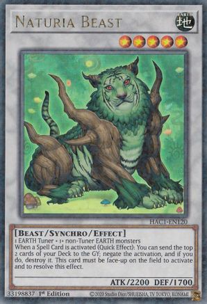 Naturia Beast (Duel Terminal) (HAC1-EN120) - Hidden Arsenal: Chapter 1 1st Edition - Premium Yugioh Single from Konami - Just $0.25! Shop now at Game Crave Tournament Store