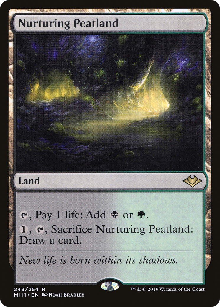 Nurturing Peatland (MH1-243) - Modern Horizons - Premium MTG Single from Wizards of the Coast - Just $1.43! Shop now at Game Crave Tournament Store