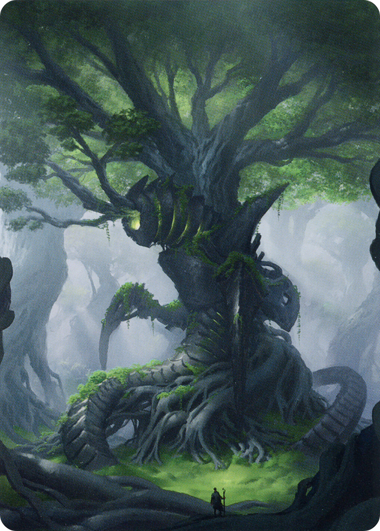 Forest // Forest (ABRO-053) - The Brothers' War Art Series (Borderless) - Premium MTG Single from Wizards of the Coast - Just $0! Shop now at Game Crave Tournament Store