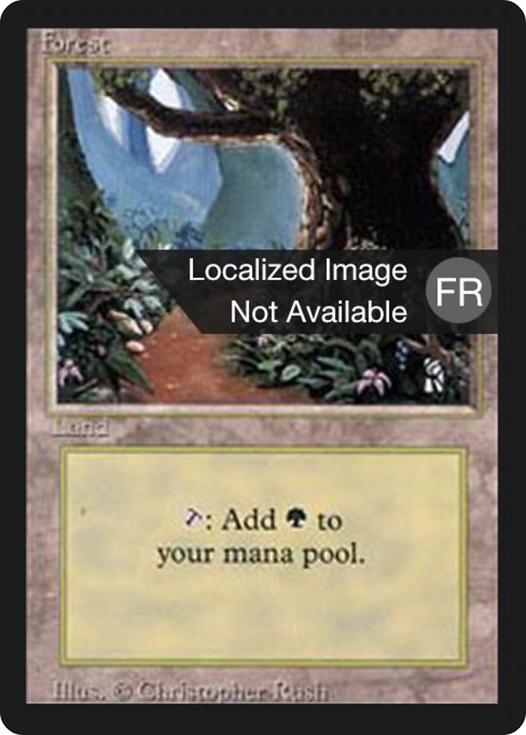Forest (FBB-305) - Foreign Black Border - Premium MTG Single from Wizards of the Coast - Just $1.04! Shop now at Game Crave Tournament Store