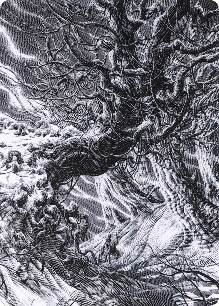 Forest // Forest (AVOW-081) - Crimson Vow Art Series (Borderless) - Premium MTG Single from Wizards of the Coast - Just $0! Shop now at Game Crave Tournament Store