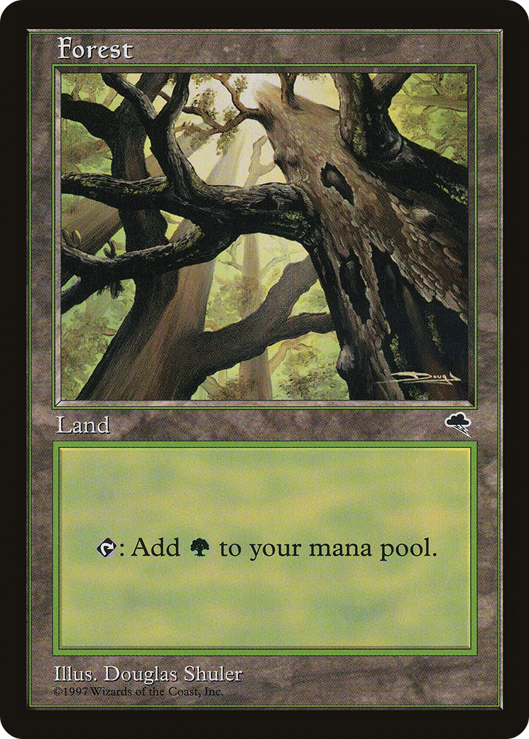 Forest (TMP-347) - Tempest - Premium MTG Single from Wizards of the Coast - Just $0.40! Shop now at Game Crave Tournament Store