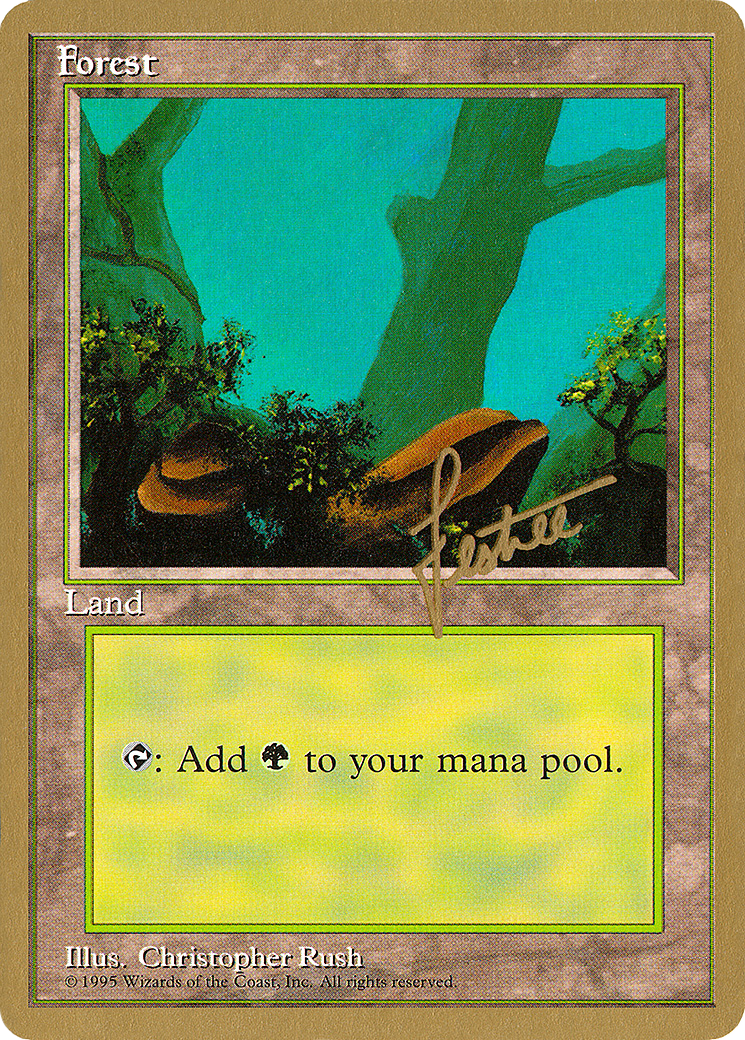 Forest (PTC-BL378) - Pro Tour Collector Set - Premium MTG Single from Wizards of the Coast - Just $1.66! Shop now at Game Crave Tournament Store