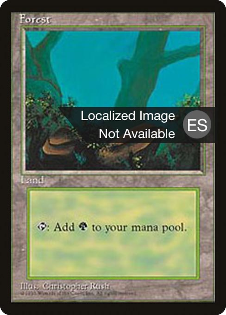 Forest (4BB-376) - Fourth Edition Foreign Black Border - Premium MTG Single from Wizards of the Coast - Just $0.60! Shop now at Game Crave Tournament Store