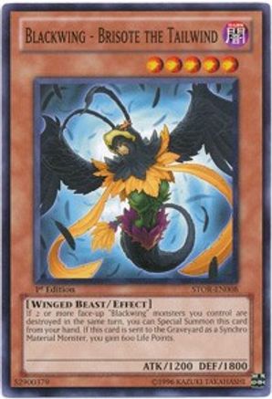 Blackwing - Brisote the Tailwind (STOR-EN008) - Storm of Ragnarok 1st Edition - Premium Yugioh Single from Konami - Just $0.25! Shop now at Game Crave Tournament Store