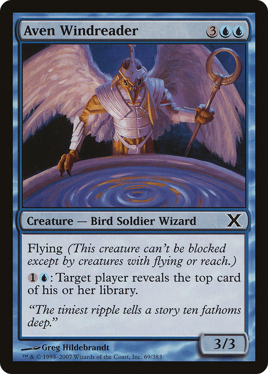 Aven Windreader (10E-069) - Tenth Edition - Premium MTG Single from Wizards of the Coast - Just $0.25! Shop now at Game Crave Tournament Store