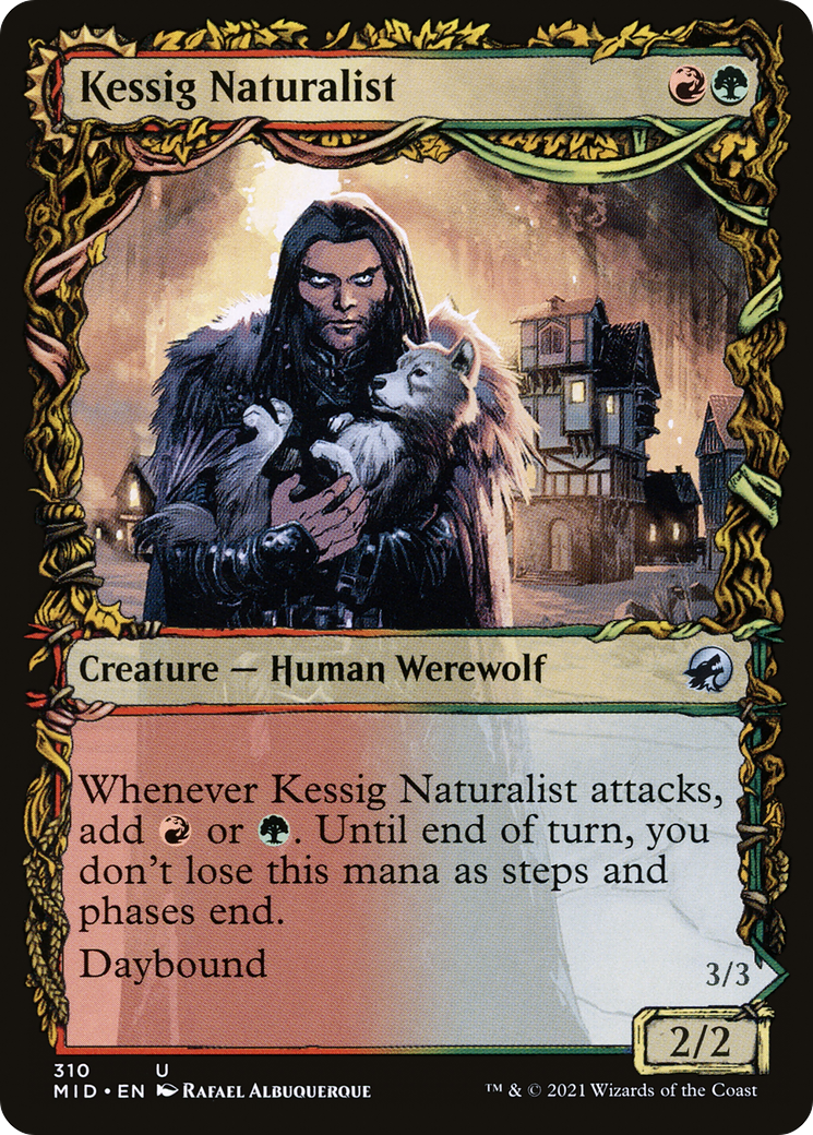 Kessig Naturalist // Lord of the Ulvenwald (MID-310) - Innistrad: Midnight Hunt: (Showcase, Double Faced Transform) - Premium MTG Single from Wizards of the Coast - Just $0.08! Shop now at Game Crave Tournament Store