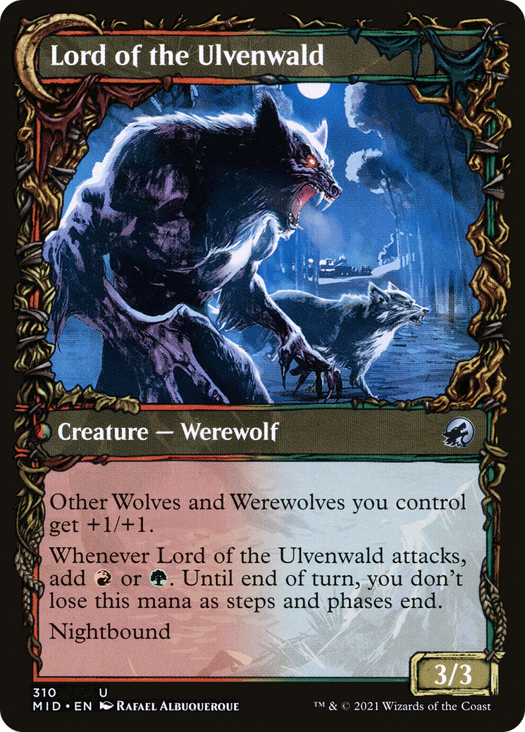 Kessig Naturalist // Lord of the Ulvenwald (MID-310) - Innistrad: Midnight Hunt: (Showcase, Double Faced Transform) Foil - Premium MTG Single from Wizards of the Coast - Just $0.08! Shop now at Game Crave Tournament Store